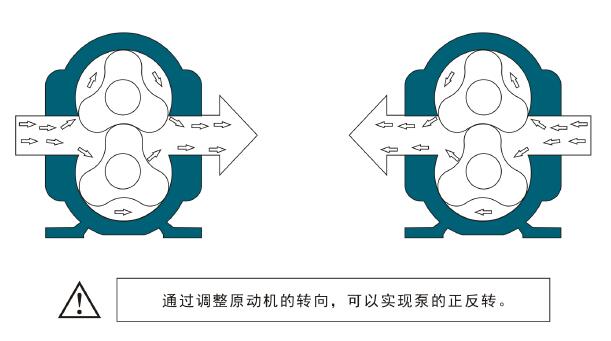 羅德凸輪轉子泵工作原理圖示