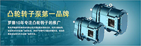 羅德轉(zhuǎn)子泵與南方某電機(jī)廠家技術(shù)交流，討論合作.